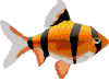 a gif of a fish that links back to my neocities profile